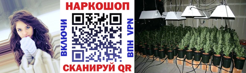 Купить закладку Микунь Бошки Шишки Мефедрон Псилоцибиновые грибы ГАШ КОКАИН APVP