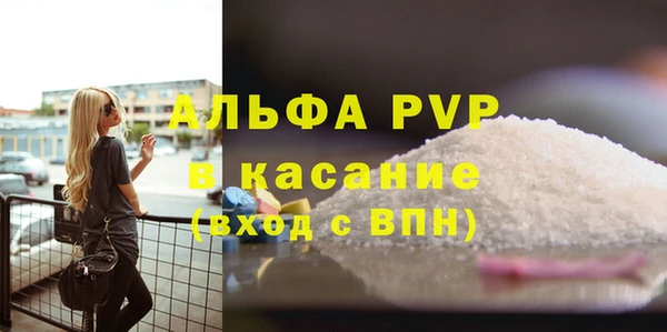 гидра Надым