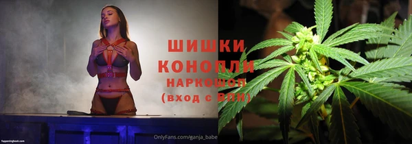 гидра Надым
