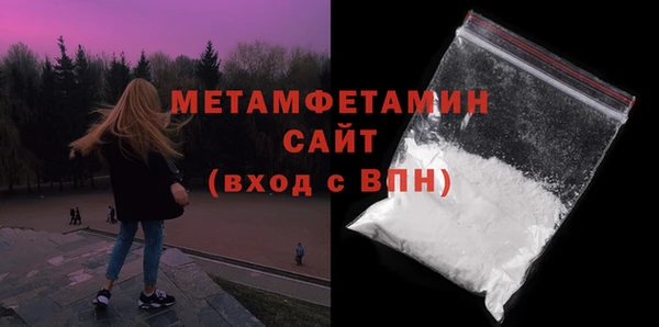 гидра Надым