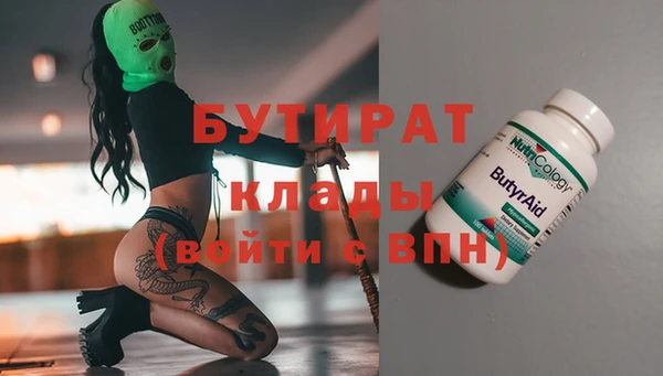 гидра Надым