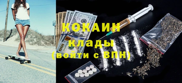 гидра Надым