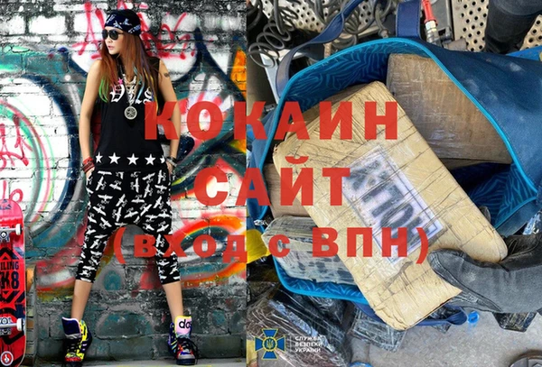 гидра Надым