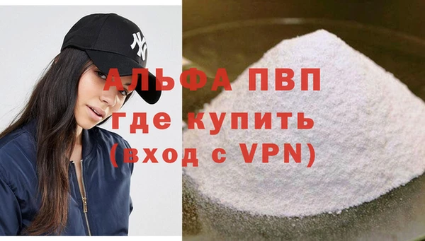 гидра Надым